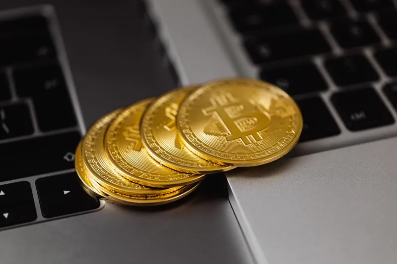 The True Price of Holding: Uncovering the Hidden Costs Behind Every Crypto Wallet Choice